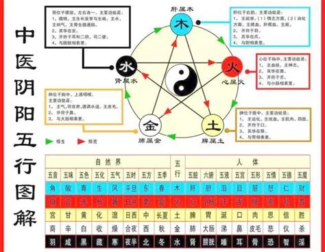 心 五行 屬 什麼